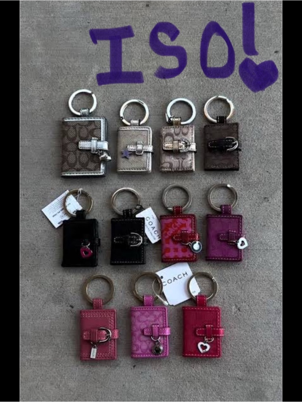 ISO Coach Photo Keychain - DONT BUY